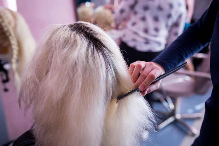 Визуальное определение проблемы