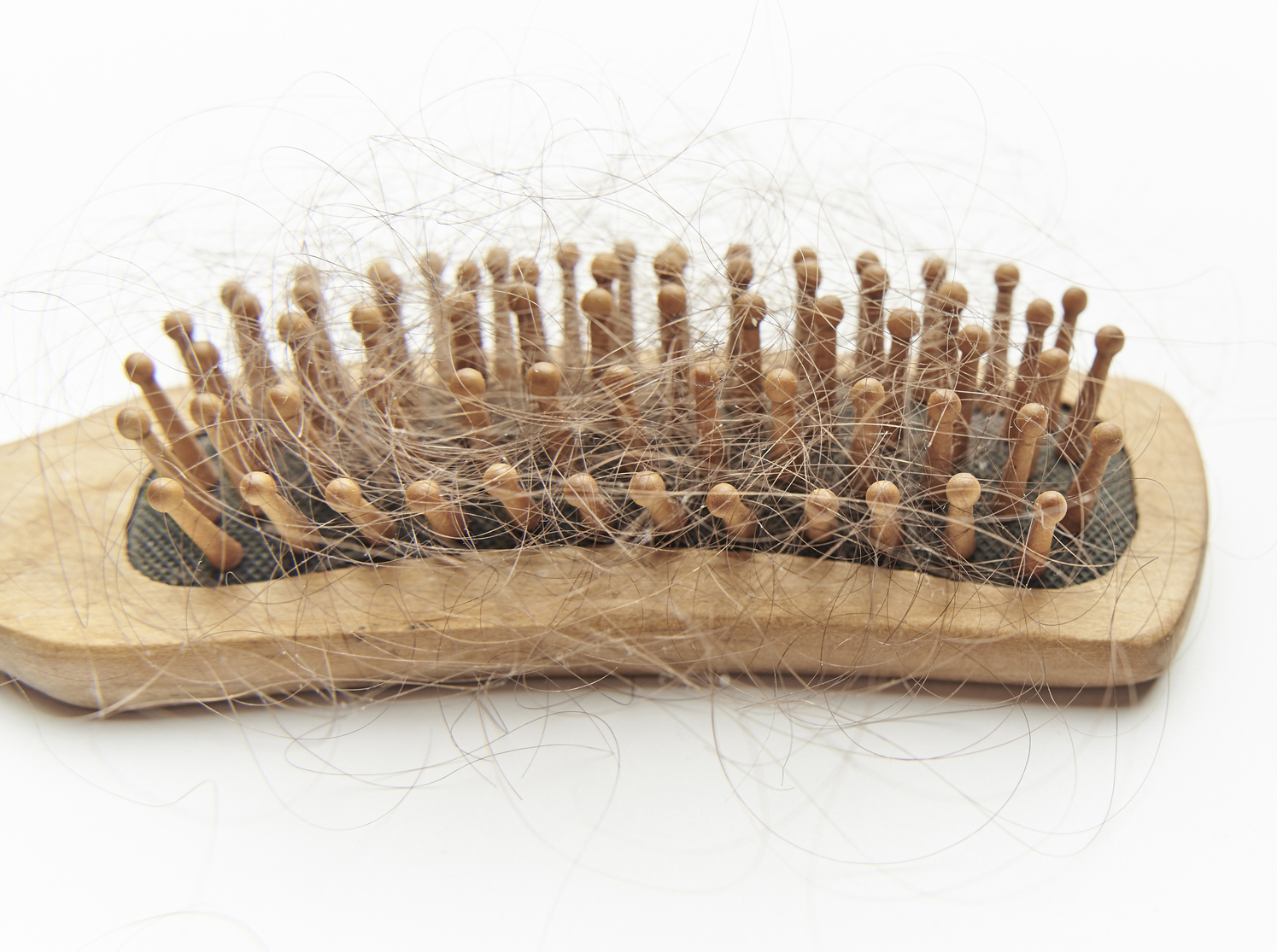 Могут ли от шампуня выпадать волосы 2